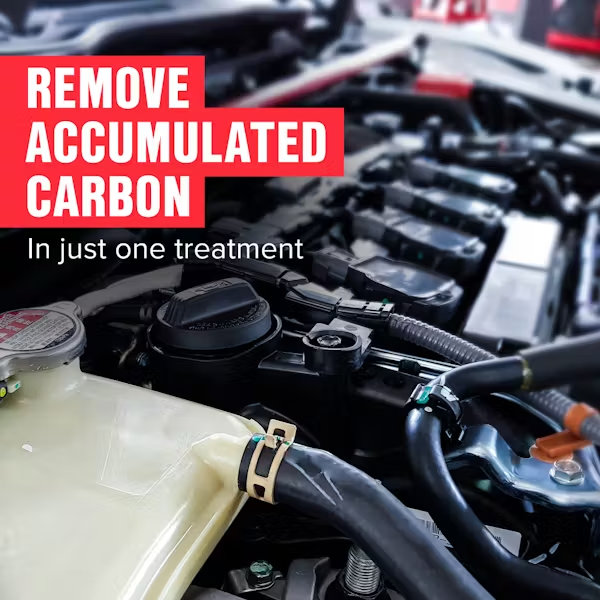 Diesel Particulate Filter (DPF) Cleaner Image 5
